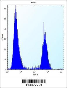 Anti-PTN Rabbit Polyclonal Antibody (APC (Allophycocyanin))