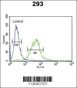 Anti-BCOR Rabbit Polyclonal Antibody