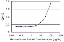 Anti-FBXW12 Mouse Monoclonal Antibody [clone: 1A9]