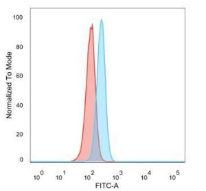 Flow cytometric analysis of PFA-fixed HeLa cells using Anti-CBFB Antibody [PCRP-CBFB-1E6] followed by Goat Anti-Mouse IgG (CF&#174; 488) (Blue). Isotype Control (Red)