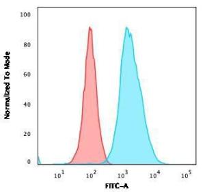 Anti-CD40 Mouse Monoclonal Antibody [Clone: C40/1605]