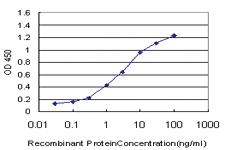 Anti-MED1 Mouse Monoclonal Antibody [clone: 1G4]