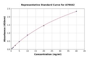 Representative standard curve for Rat Hsc70 ELISA kit (A79442)