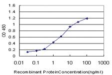 Anti-MED1 Mouse Monoclonal Antibody [clone: 2G1]