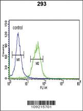 Anti-TRIB2 Rabbit Polyclonal Antibody