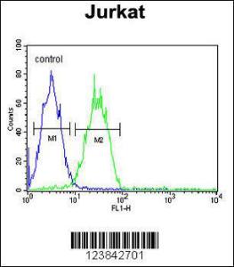 Anti-ARGLU1 Rabbit Polyclonal Antibody (APC (Allophycocyanin))