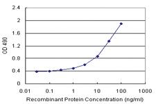 Anti-ID2H Polyclonal Antibody Pair