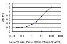 Anti-HECTD1 Mouse Monoclonal Antibody [clone: 1E10]