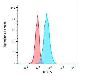 Anti-CD105 Mouse Monoclonal Antibody [clone: ENG/1621]