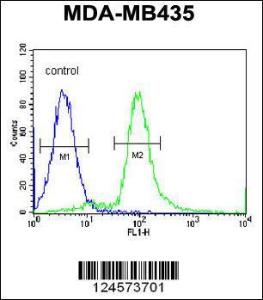 Anti-ARHGAP10 Rabbit Polyclonal Antibody (AP (Alkaline Phosphatase))