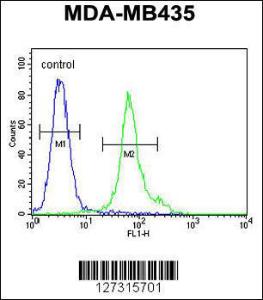 Anti-EMC3 Rabbit Polyclonal Antibody (PE (Phycoerythrin))