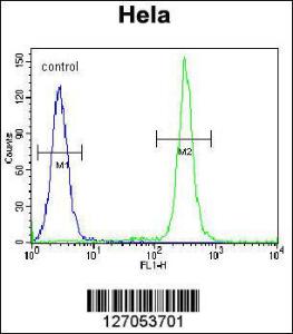 Anti-TMEM165 Rabbit Polyclonal Antibody (FITC (Fluorescein Isothiocyanate))