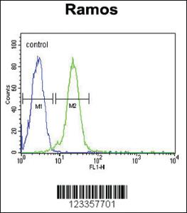 Anti-MATN3 Rabbit Polyclonal Antibody