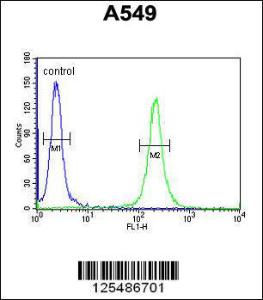 Anti-TMEM168 Rabbit Polyclonal Antibody (FITC (Fluorescein Isothiocyanate))