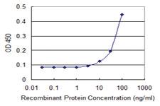 Anti-COG4 Mouse Monoclonal Antibody [clone: 3B8]