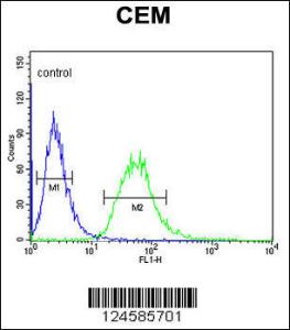 Anti-CA6 Rabbit Polyclonal Antibody (FITC (Fluorescein Isothiocyanate))