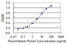 Anti-ZNF7 Mouse Monoclonal Antibody [clone: 6F2]