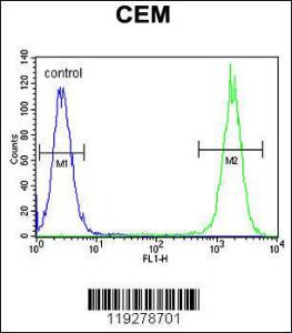 Anti-DUOX2 Rabbit Polyclonal Antibody (Biotin)