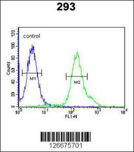 Anti-ARMC5 Rabbit Polyclonal Antibody (AP (Alkaline Phosphatase))