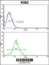 Anti-ATP12A Rabbit Polyclonal Antibody (PE (Phycoerythrin))