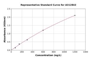 Representative standard curve for Human CCR5 ELISA kit (A312842)