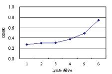 Anti-PGM3 Antibody Pair