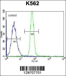 Anti-LRRC63 Rabbit Polyclonal Antibody (FITC (Fluorescein Isothiocyanate))