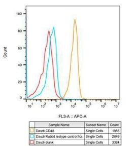 Flow cytometry analysis of Daudi cells, stained with Rabbit IgG isotype control (10 µg/ml, blue line) or Anti-CD48 Antibody [ARC53030] (A308320), (10 µg/ml orange line), followed by Alexa Fluor 647 conjugated goat anti-rabbit polyclonal antibody (1:600 dilution) staining