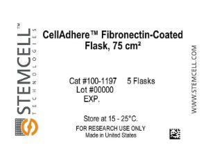 CellAdhere™ Fibronectin-Coated flask, 75 cm²