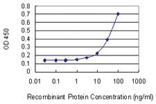 Anti-PPIC Mouse Monoclonal Antibody [clone: 1A10]