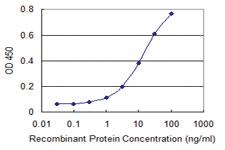 Anti-RNF175 Mouse Monoclonal Antibody [clone: 4E9]