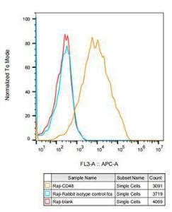 Flow cytometry analysis of Raji cells, stained with Rabbit IgG isotype control (10 µg/ml, blue line) or Anti-CD48 Antibody [ARC53030] (A308320), (10 µg/ml orange line), followed by Alexa Fluor 647 conjugated goat anti-rabbit polyclonal antibody (1:600 dilution) staining