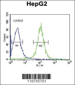 Anti-TMPRSS2 Rabbit Polyclonal Antibody