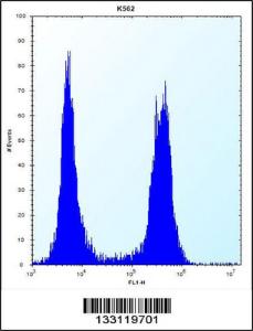 Anti-ARSF Rabbit Polyclonal Antibody