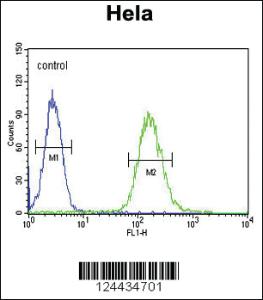 Anti-CLTC Rabbit Polyclonal Antibody