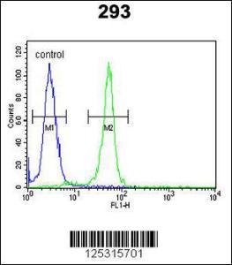 Anti-RRS1 Rabbit Polyclonal Antibody