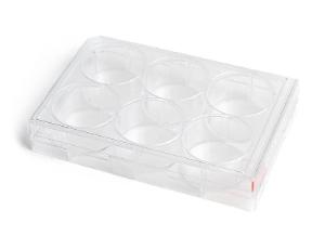 CellAdhere™ Gelatin-Coated, 96-well flat-bottom plate