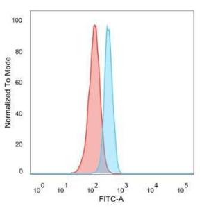 Flow cytometric analysis of PFA-fixed HeLa cells using Anti-HDAC3 Antibody [PCRP-HDAC3-3C9] followed by Goat Anti-Mouse IgG (CFand#174; 488) (Blue). Isotype Control (Red)