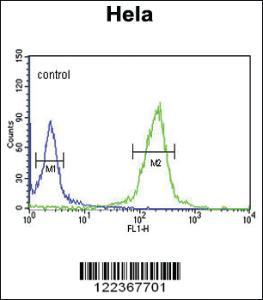 Anti-CLIP1 Rabbit Polyclonal Antibody [clone: 363CT4.1.6]