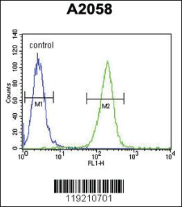 Anti-MOB1A Rabbit Polyclonal Antibody