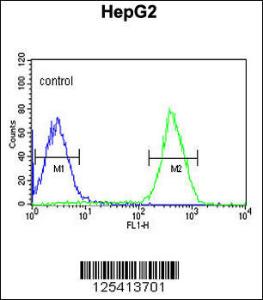 Anti-PUR4 Rabbit Polyclonal Antibody (HRP (Horseradish Peroxidase))