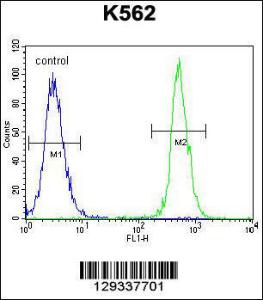 Anti-NUDT19 Rabbit Polyclonal Antibody (AP (Alkaline Phosphatase))