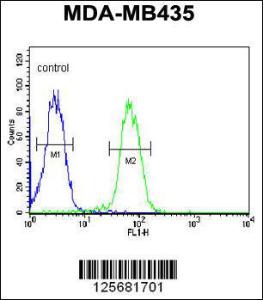 Anti-SMPDL3A Rabbit Polyclonal Antibody (AP (Alkaline Phosphatase))