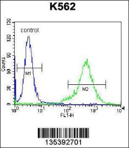 Anti-PRL Rabbit Polyclonal Antibody (AP (Alkaline Phosphatase))