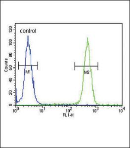 Anti-ASMT Rabbit Polyclonal Antibody (AP (Alkaline Phosphatase))