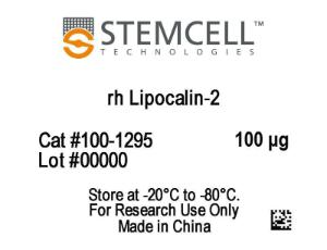 Human recombinant Lipocalin-2