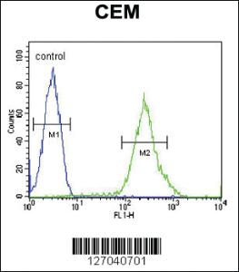 Anti-FPR3 Rabbit Polyclonal Antibody