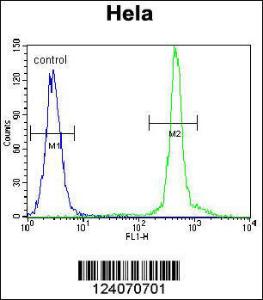 Anti-ASXL1 Rabbit Polyclonal Antibody (AP (Alkaline Phosphatase))