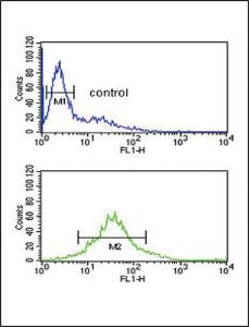 Anti-PDK2 Rabbit Polyclonal Antibody (AP (Alkaline Phosphatase))