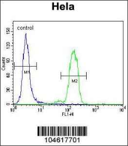 Anti-BAD Rabbit polyclonal antibody unconjugated